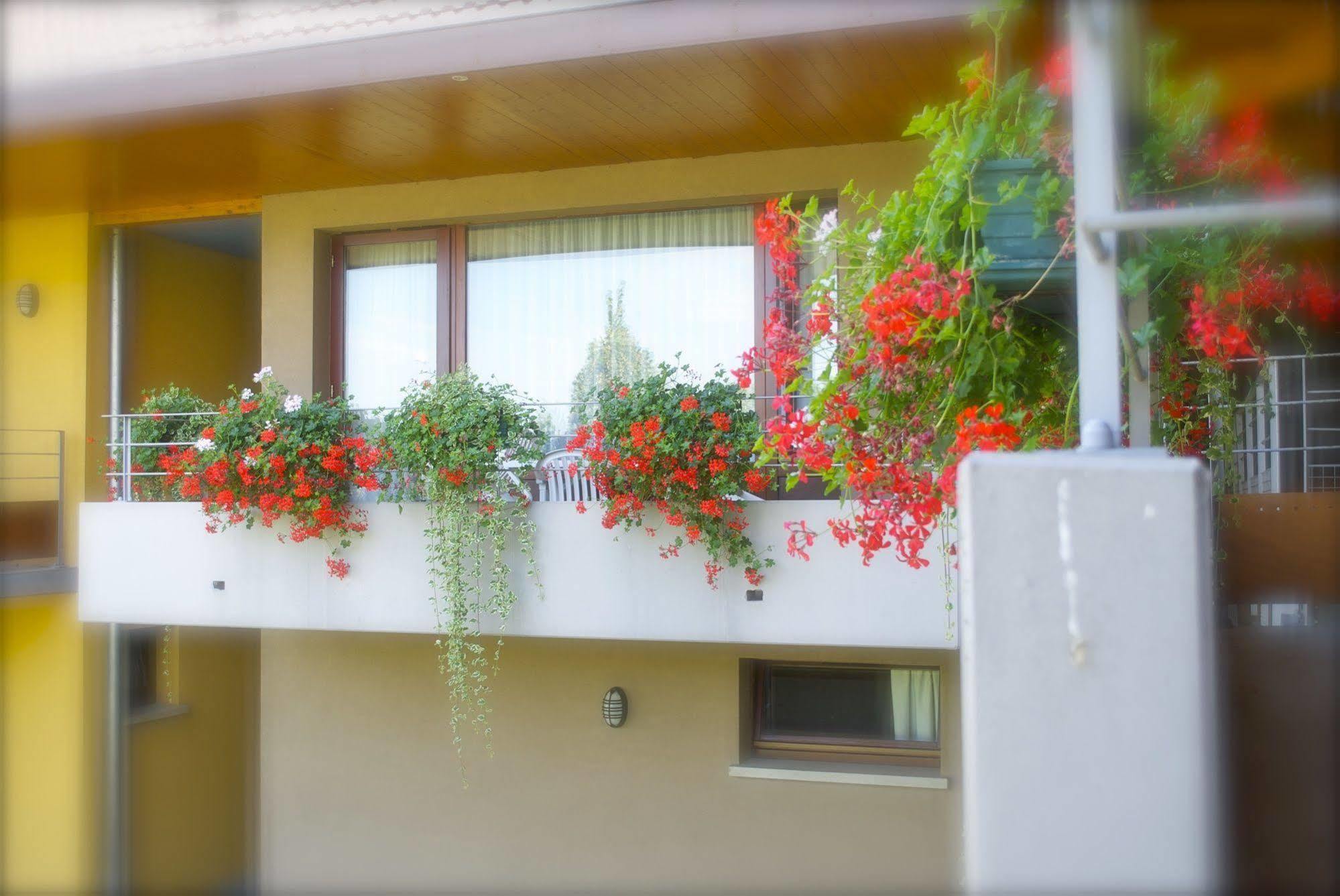 Les Loges Du Ried - Studios & Appartements Proche Europapark Marckolsheim Exterior foto